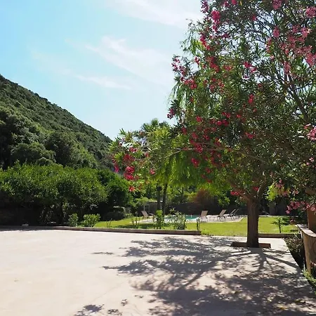 Mammona * Bonifacio (Corsica)