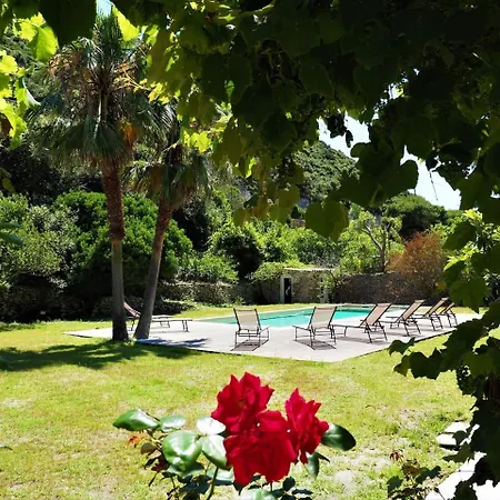 Mammona Villa