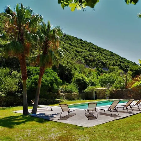 Mammona Bonifacio (Corsica)