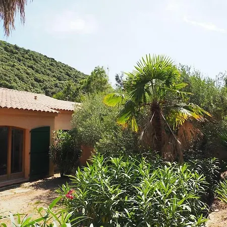 Mammona Bonifacio (Corsica)