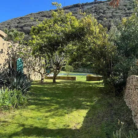 Mammona Bonifacio (Corsica)