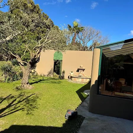 Mammona Bonifacio (Corsica)