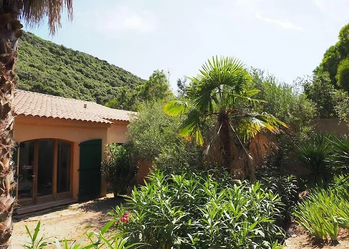 Mammona Bonifacio (Corsica)