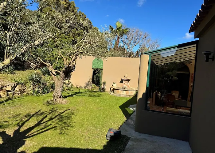 Mammona Bonifacio (Corsica)